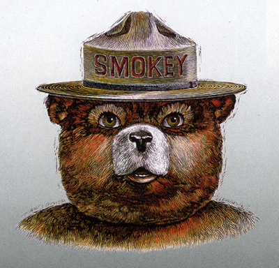 Smokey Says D128 Is Good For The Forest